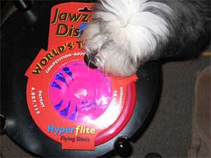ジョーズディスク(JawsDisc) ジョーズディスク(JawsDisc)